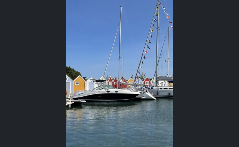 Sea Ray 275 Amberjack-kuva-2